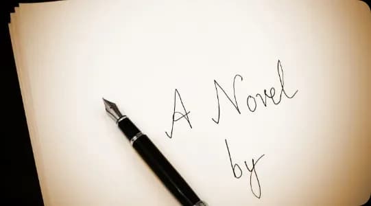 Novel