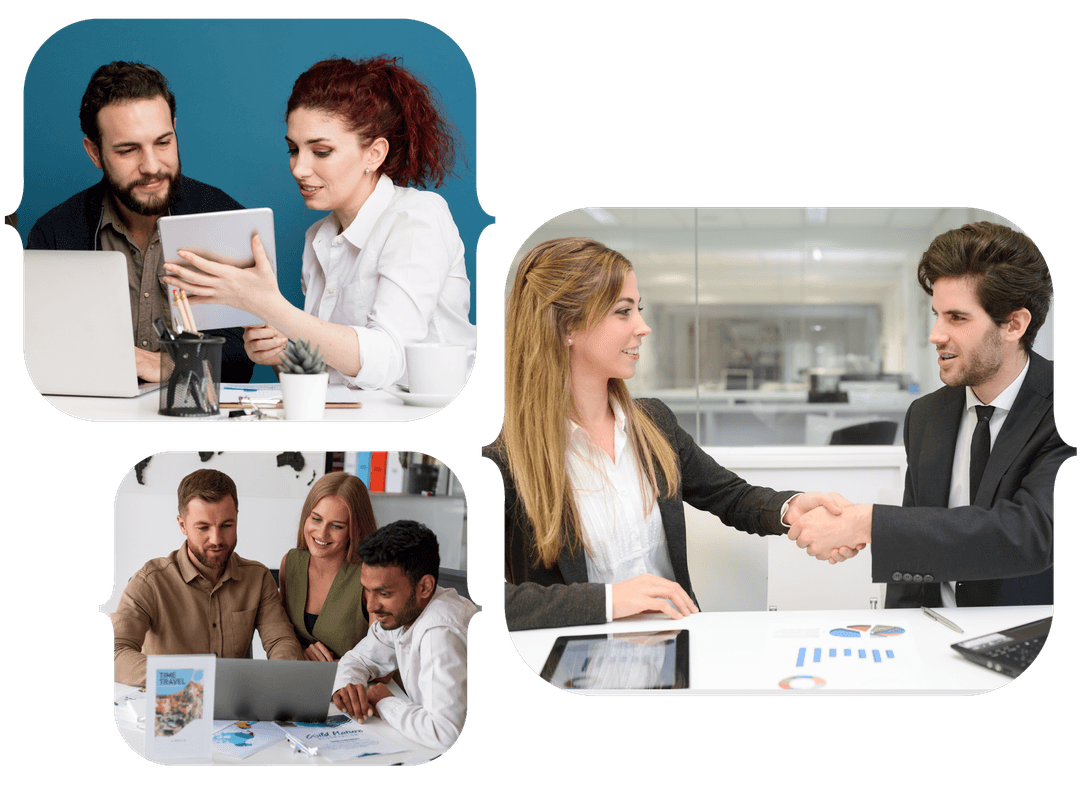 APH publishing formats
